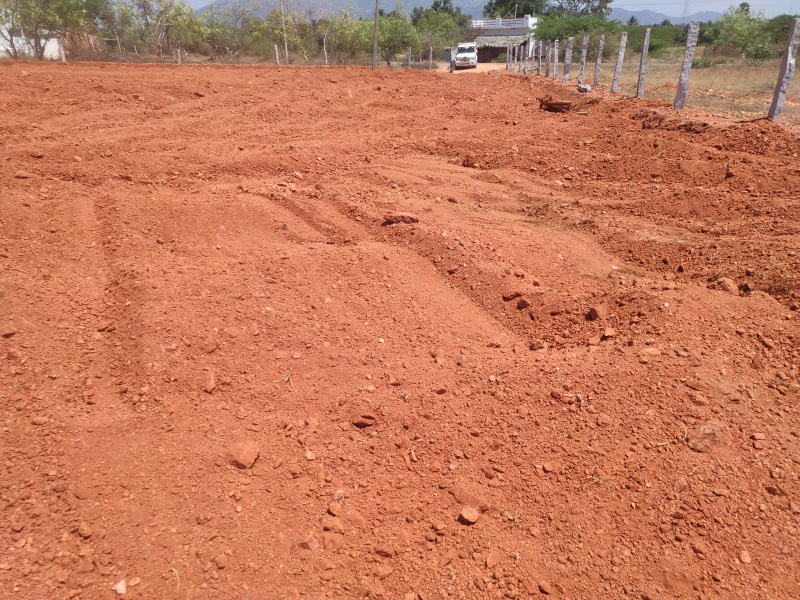 Agricultural Land 3 Acre for Sale in Batlagundu, Dindigul