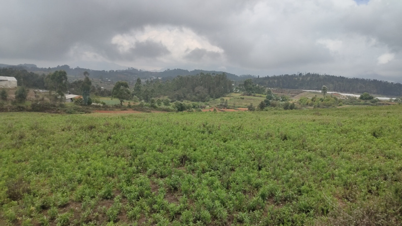 Agricultural Land 3 Acre for Sale in Kookal, Kodaikanal
