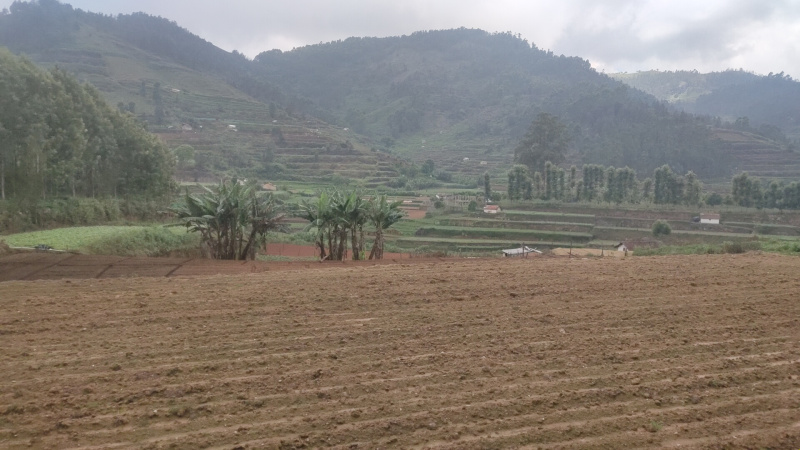 Agricultural Land 2 Acre for Sale in Poondi, Kodaikanal