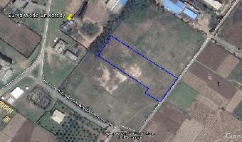  Commercial Land for Sale in NH 1, Rajpura