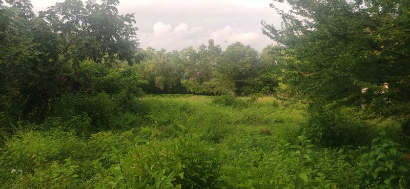 Commercial Land 6900 Sq. Meter for Sale in Canacona, Goa