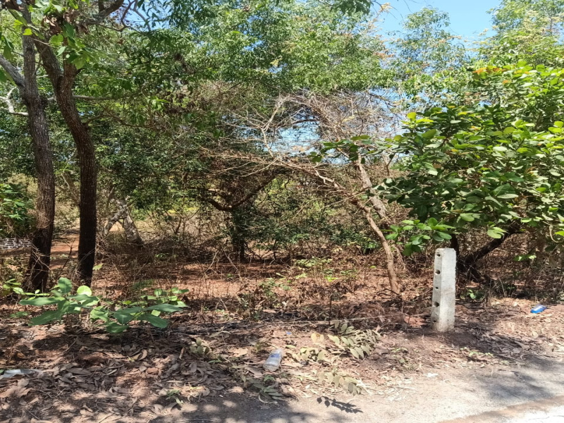 Commercial Land 2300 Sq. Meter for Sale in