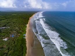  Commercial Land 22257 Sq. Meter for Sale in Velsao, Goa