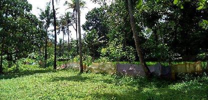  Residential Plot for Sale in Chalakudy, Kochi