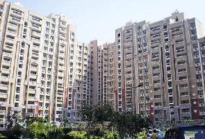 3 BHK Flat for Sale in Sector Pi I Greater Noida