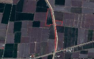  Agricultural Land for Sale in Gurazala, Guntur
