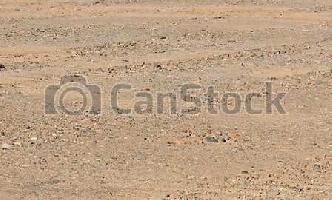  Commercial Land for Sale in Cheyyar, Tiruvannamalai