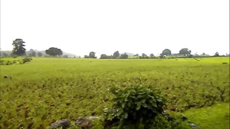 Agricultural Land 7 Acre for Sale in Shahapur, Thane