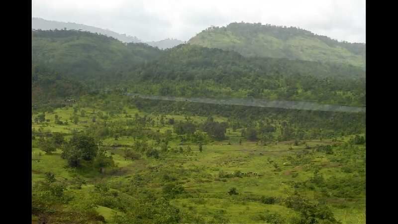 Agricultural Land 7 Acre for Sale in Shahapur, Thane