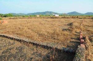  Residential Plot for Sale in Bhatkal, Uttara Kannada