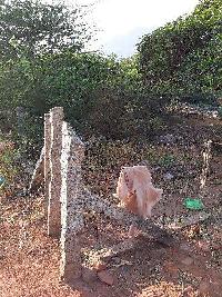  Residential Plot for Sale in Nagercoil, Kanyakumari