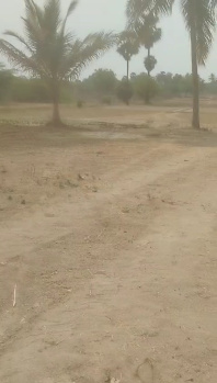  Agricultural Land for Sale in Vaniyambadi, Vellore