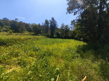  Residential Plot for Sale in Yelagiri, Vellore