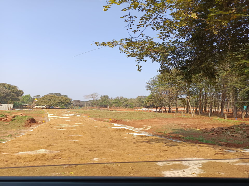 Yelagiri, Vellore photo 3