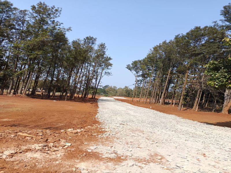 Yelagiri, Vellore photo 2