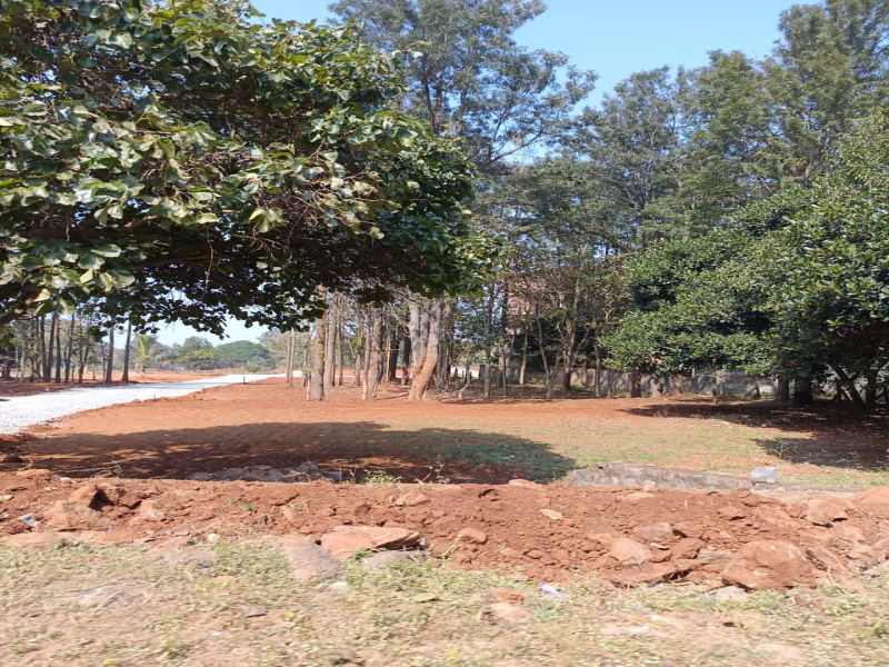 Yelagiri, Vellore photo 4