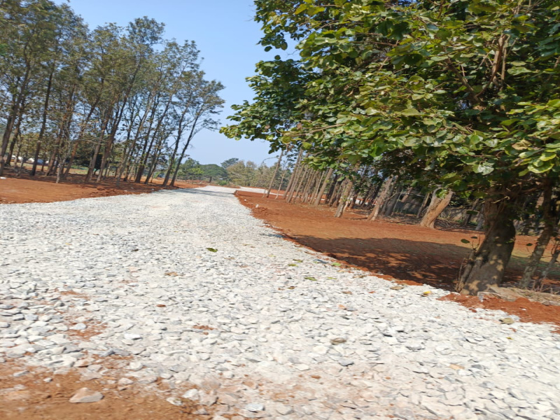 Yelagiri, Vellore photo 5