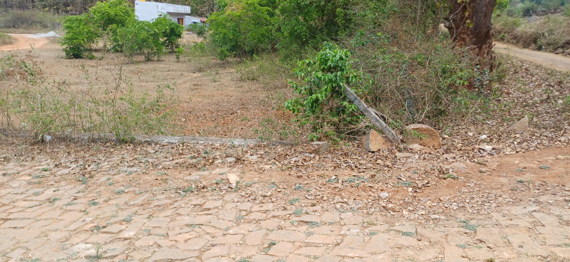 Yelagiri, Vellore photo 2