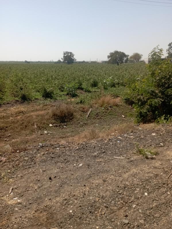  Industrial Land 500000 Sq.ft. for Sale in Karjan, Vadodara