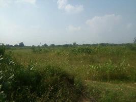  Agricultural Land for Sale in Mandvi, Vadodara