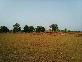  Agricultural Land for Sale in Kayovarahn To Chatral Road Touch, Vadodara, Vadodara