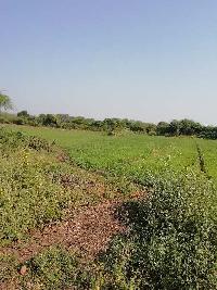  Agricultural Land for Sale in Kandari, Vadodara