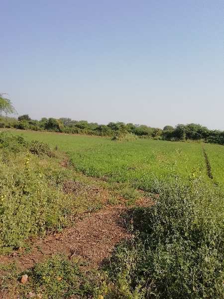 Agricultural Land 22 Bigha for Sale in Kandari, Vadodara