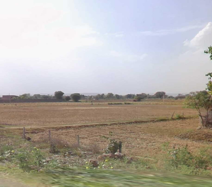  Residential Plot 30 Bigha for Sale in Neemrana, Alwar