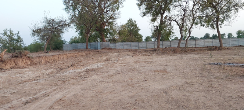  Agricultural Land 4000 Sq.ft. for Sale in Vasad, Anand