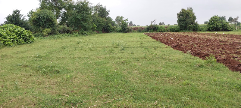  Agricultural Land 45000 Sq.ft. for Sale in Rajupura, Anand