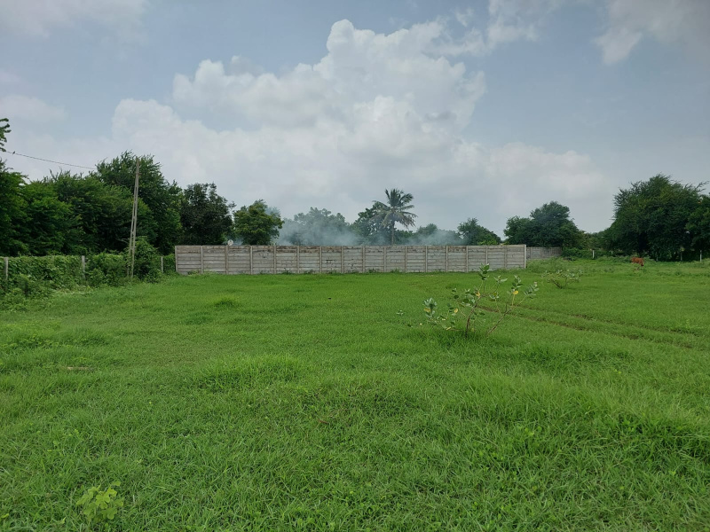  120000 Sq.ft. Agricultural/Farm Land for Sale in Vasad, Anand