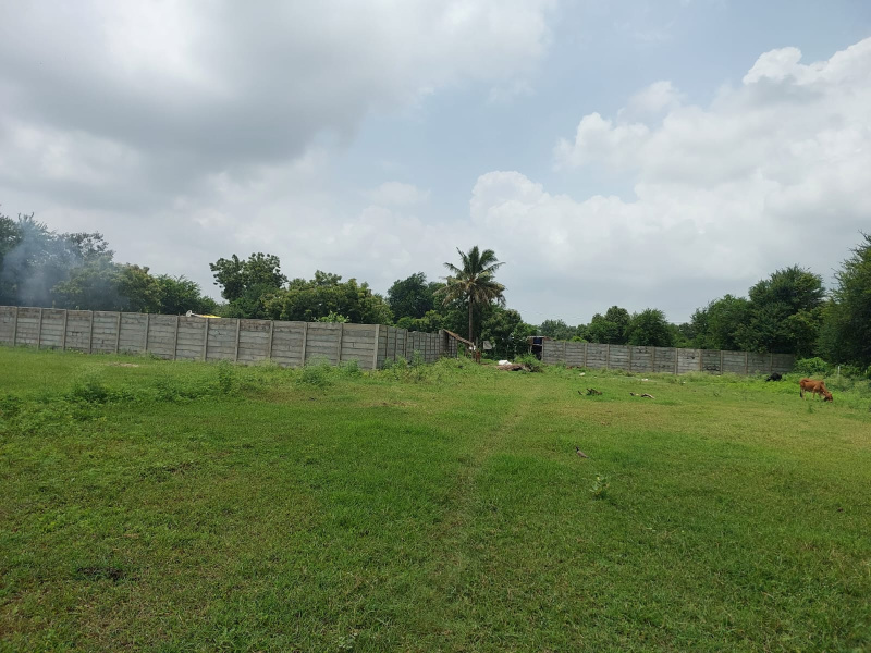  120000 Sq.ft. Agricultural/Farm Land for Sale in Vasad, Anand