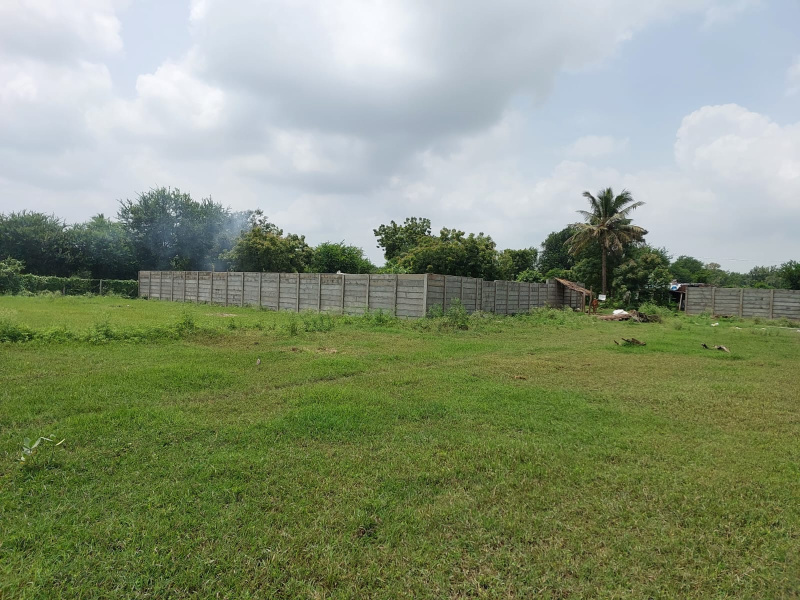  120000 Sq.ft. Agricultural/Farm Land for Sale in Vasad, Anand