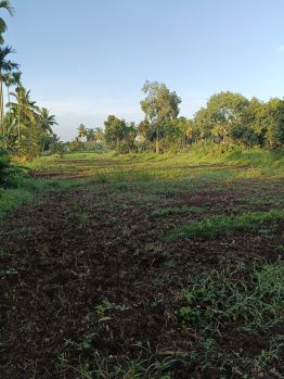  Agricultural Land for Sale in Shrirangapattana, Mandya