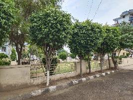 3 BHK Flat for Sale in Sector 125 Mohali