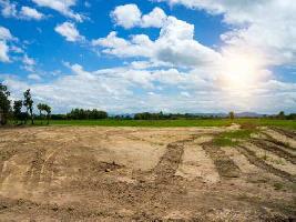  Agricultural Land for Sale in Jambusar, Bharuch