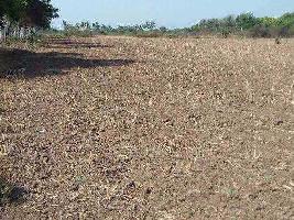  Agricultural Land for Sale in Sachin, Surat
