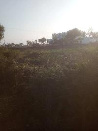  Agricultural Land for Sale in Amod, Bharuch