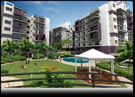 2 BHK Flat for Sale in Bicholi Mardana, Indore
