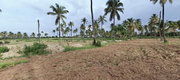  Agricultural Land for Sale in Hosdurga, Chitradurga