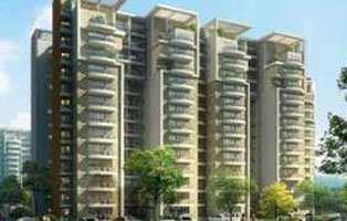 3 BHK Flat for Sale in South City, Gurgaon