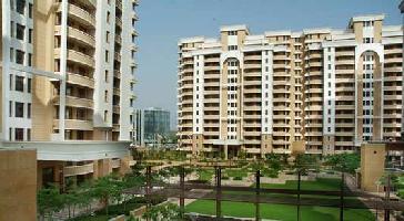 3 BHK Flat for Rent in Nirvana Country, Gurgaon