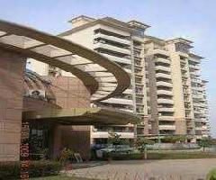 3 BHK Flat for Rent in Sector 42 Gurgaon