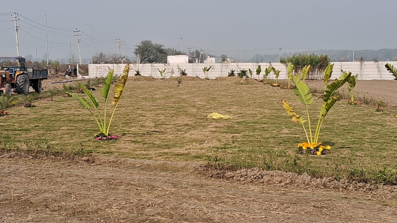 Keshwana, Behror photo 5