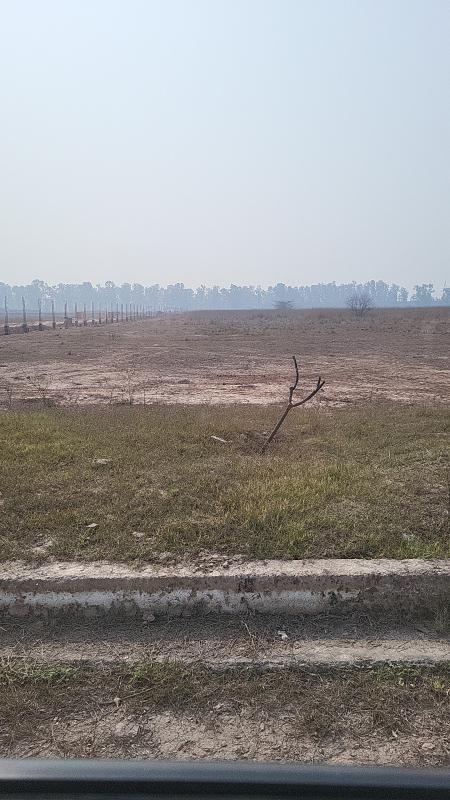 Industrial Land 8 Acre for Sale in NH 1, Rajpura