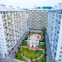 3 BHK Flat for Sale in Wagholi, Pune