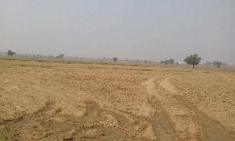  Agricultural Land for Sale in Ramgarh, Alwar