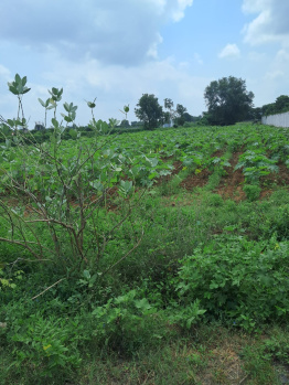  Residential Plot for Sale in Pethapur, Gandhinagar