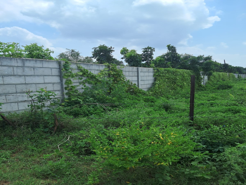 Pethapur, Gandhinagar photo 4