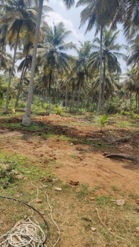  Residential Plot for Sale in Thaiyur, Chennai